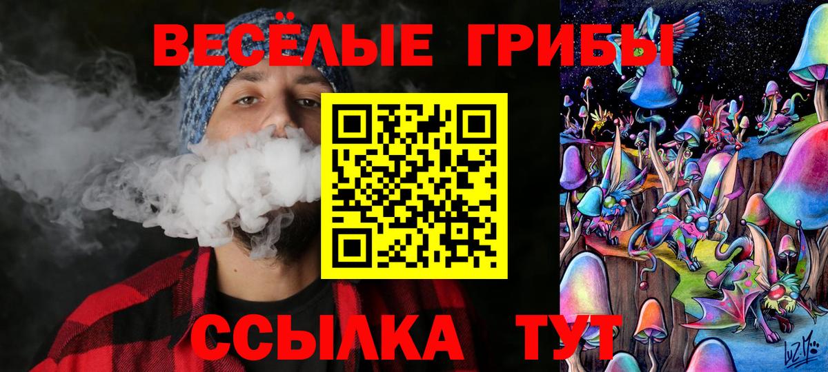 Псилоцибиновые грибы прущие грибы  Вход с VPN  Гусь-Хрустальный 